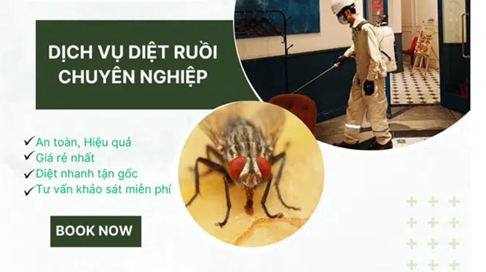 Dịch Vụ Kiểm Soát Ruồi Chuyên Sâu, Hiệu Quả Cao, An Toàn Tuyệt Đối